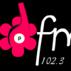 Petals FM (102.3) logo